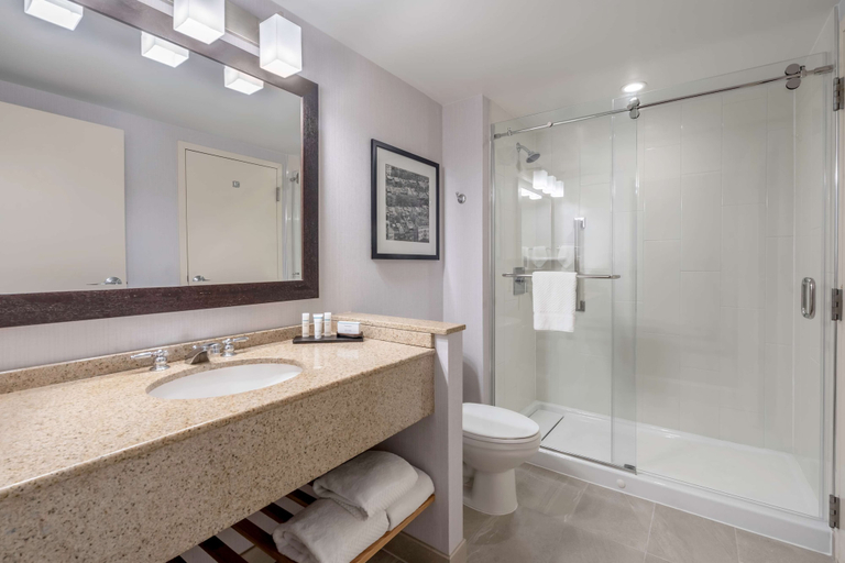 Bathroom 4, Embassy Suites Boston Logan Airport, Boston
