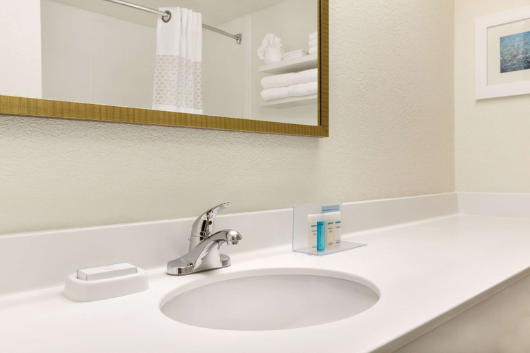 Bathroom 4, Hampton Inn & Suites Tarpon Springs, Pinellas