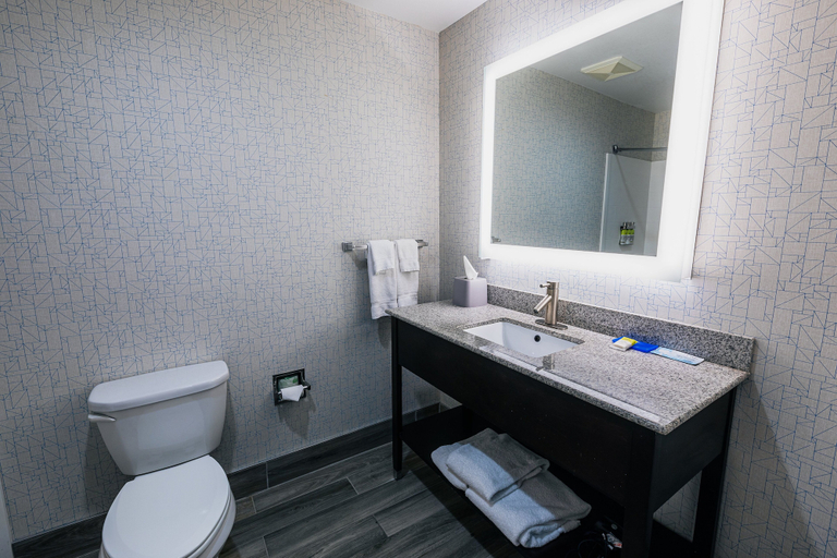 Bathroom 5, Holiday Inn Express & Suites HAMBURG by IHG, Erie