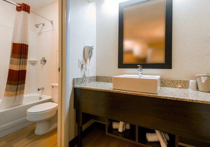 Bathroom 4, Red Roof Inn PLUS+ Boston - Framingham, Middlesex