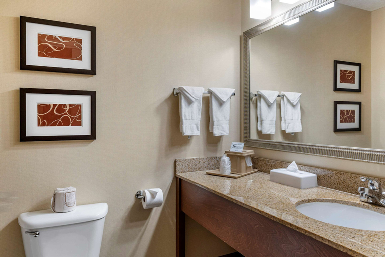 Bathroom 4, Comfort Suites Linn County, Linn