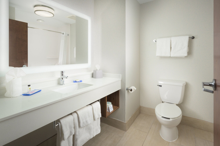 Bathroom 3, Holiday Inn Express & Suites CHATTANOOGA DOWNTOWN by IHG, Hamilton