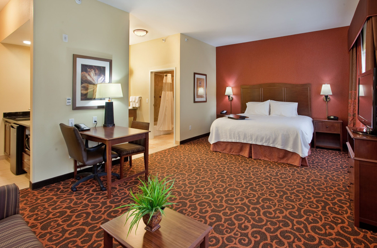 Bedroom 3, Hampton Inn & Suites Dickinson, Stark