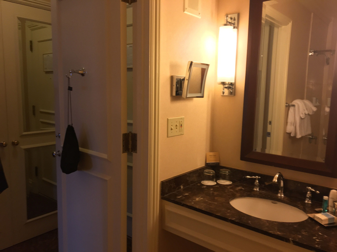 Bathroom 5, Omni William Penn Hotel, Allegheny