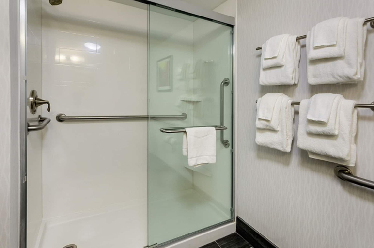 Bathroom 4, Hampton Inn Salem, VA, Roanoke