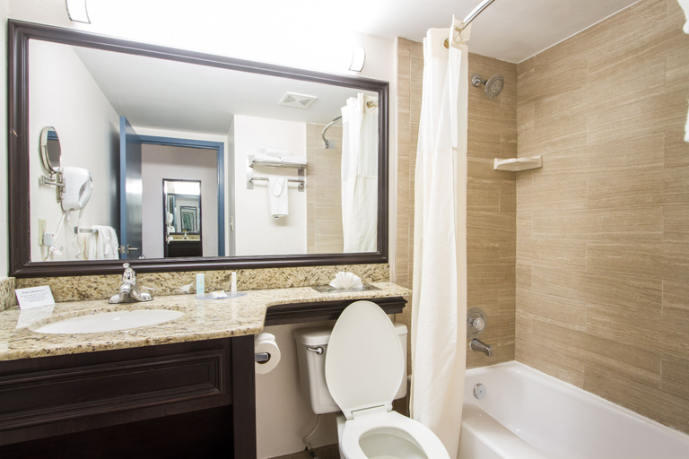 Bathroom 5, Comfort Inn Oceanside Deerfield Beach, Broward
