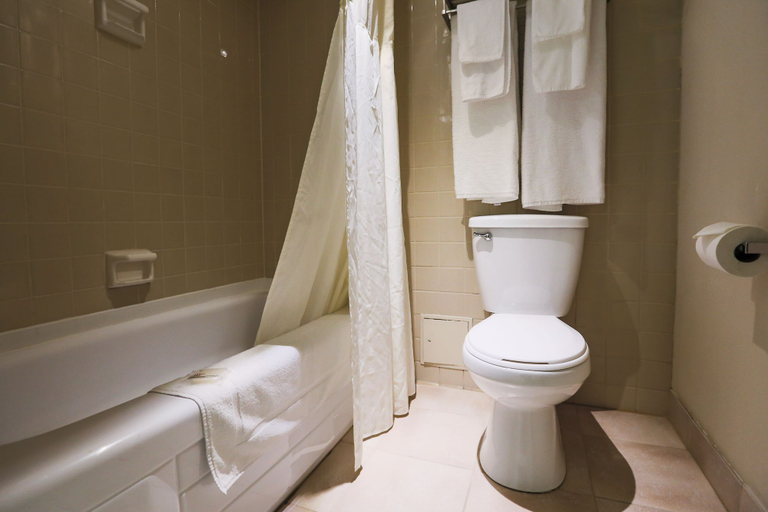 Bathroom 5, Hôtels Gouverneur Trois-Rivières, Francheville
