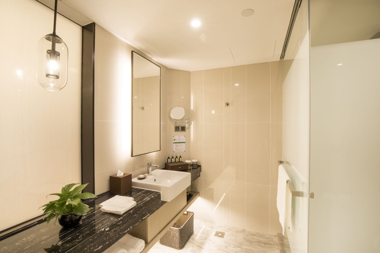 Bathroom 5, Jin Jiang Pine City Hotel, Shanghai