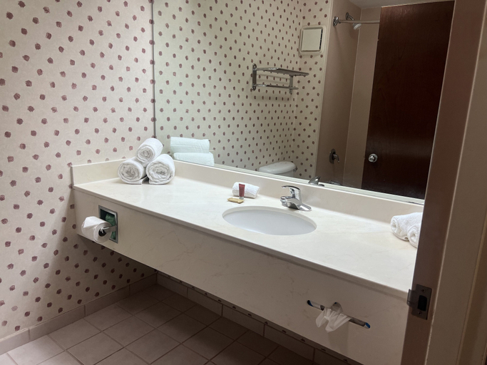 Bathroom 4, Orlando Palms Hotel, Orange