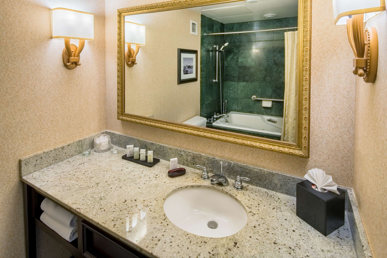 Bathroom 5, Embassy Suites by Hilton Portland Downtown, Multnomah