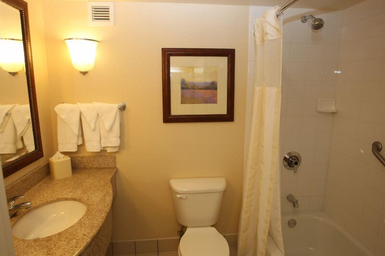 Bathroom 4, Hilton Garden Inn Des Moines/Urbandale, Polk