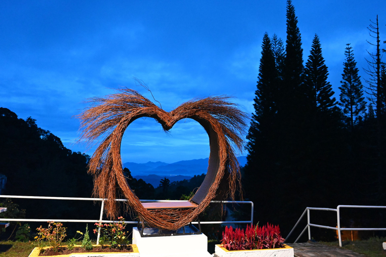 Others 5, The Pines, Raub