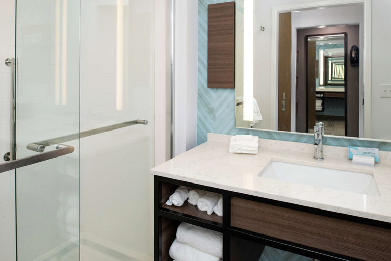Bathroom 4, Hilton Garden Inn Gallatin, TN, Sumner