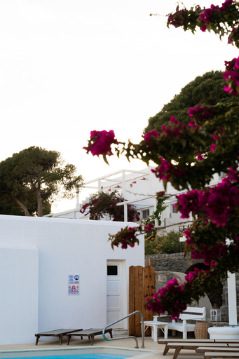 Sport & Beauty 3, Rhenia Mykonos Hotel & Bungalows, South Aegean