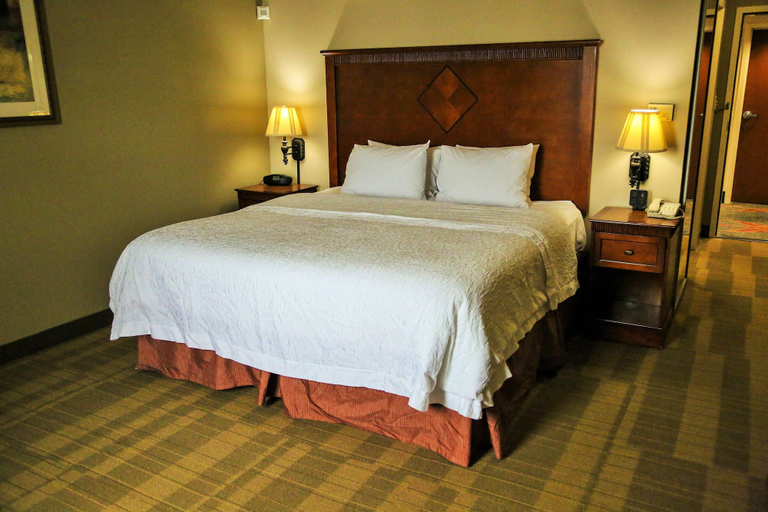 Bedroom 3, Hampton Inn & Suites McComb, Pike