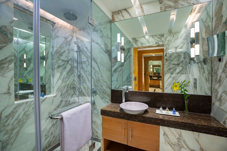 Bathroom 5, Radisson Blu Marina Hotel Connaught Place, Delhi