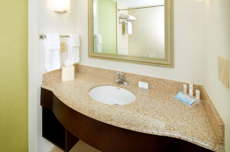 Bathroom 5, Hilton Garden Inn Savannah Midtown, Chatham