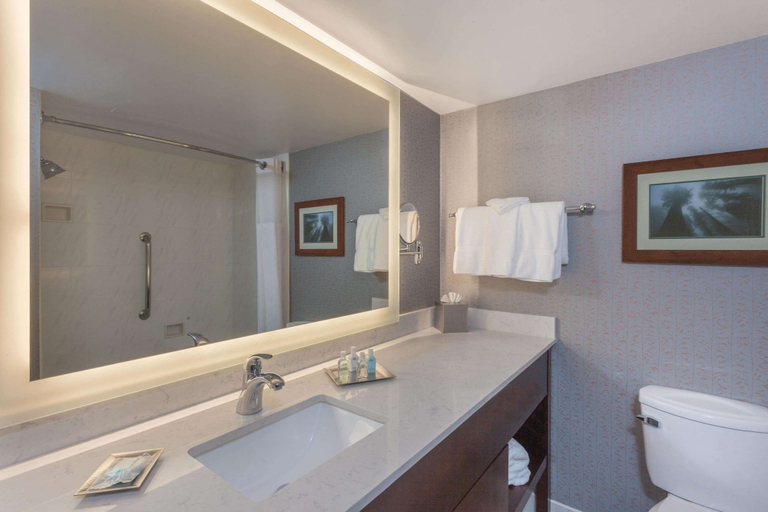 Bathroom 4, Wyndham Visalia, Tulare