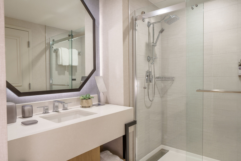 Bathroom 5, Hyatt Regency Coconut Point Resort and Spa, Lee