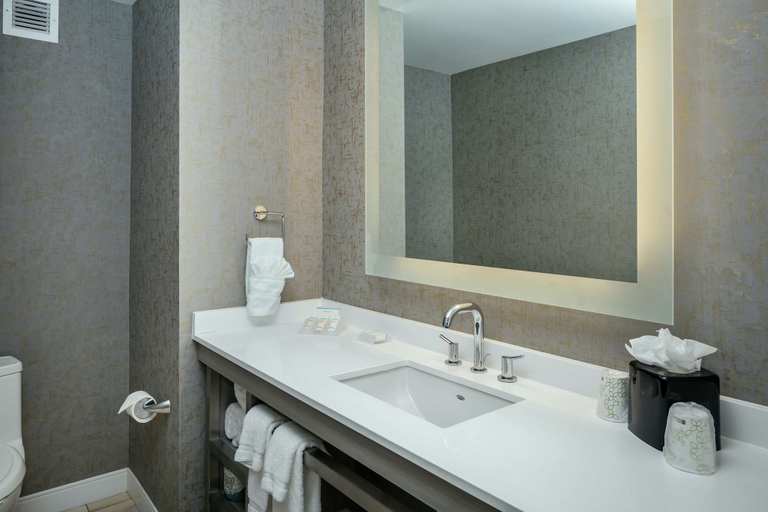 Bathroom 5, Hilton Garden Inn Seattle Bellevue Downtown, WA, King