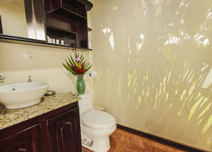 Bathroom 4, Arenal Waterfall Lodge, San Ramón