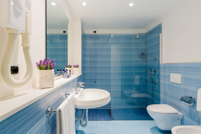 Bathroom 5, Hermitage Resort & Thermal Spa, Napoli