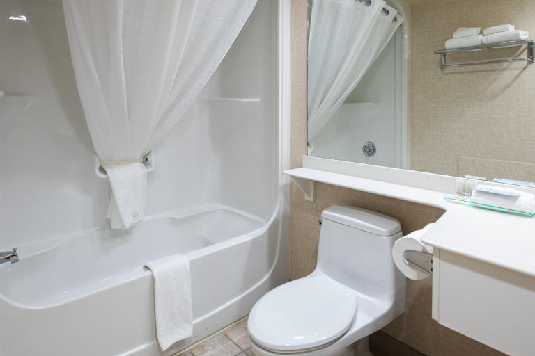Bathroom 4, Royal Hotel West Edmonton, Trademark Collection by Wyndham, Division No. 11