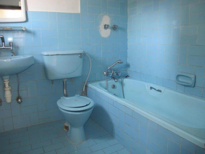 Bathroom, Green Park, Gandaki