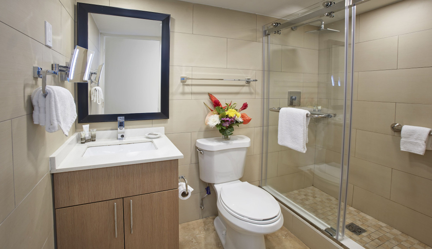 Bathroom 4, Divi Southwinds Beach Resort