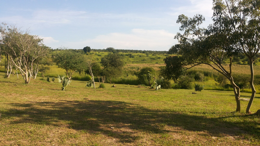 Scenery