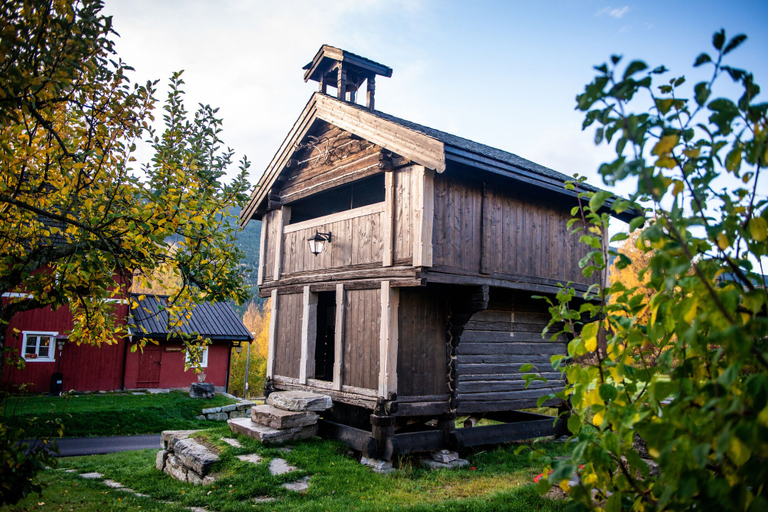 Exterior & Views 2, Hesla Farm, Gol