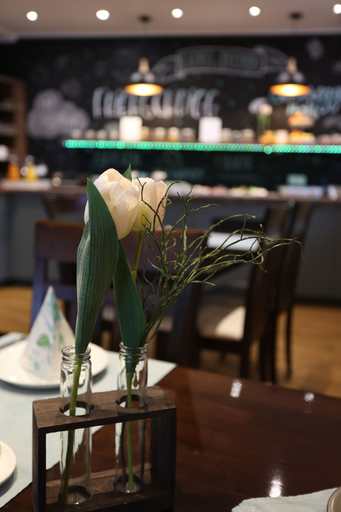 Food & Drinks 4, Pension Alte Scheune, Schwalm-Eder-Kreis