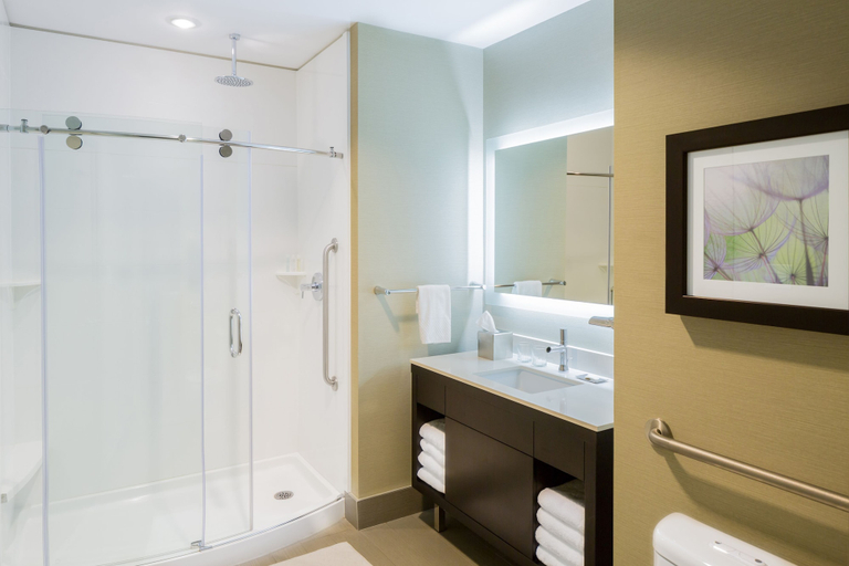 Bathroom 5, The Hollis Halifax a DoubleTree Suites by Hilton Hotel, Halifax