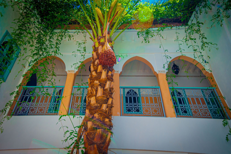 Exterior & Views 2, Riad Dar Mamouni, Marrakech