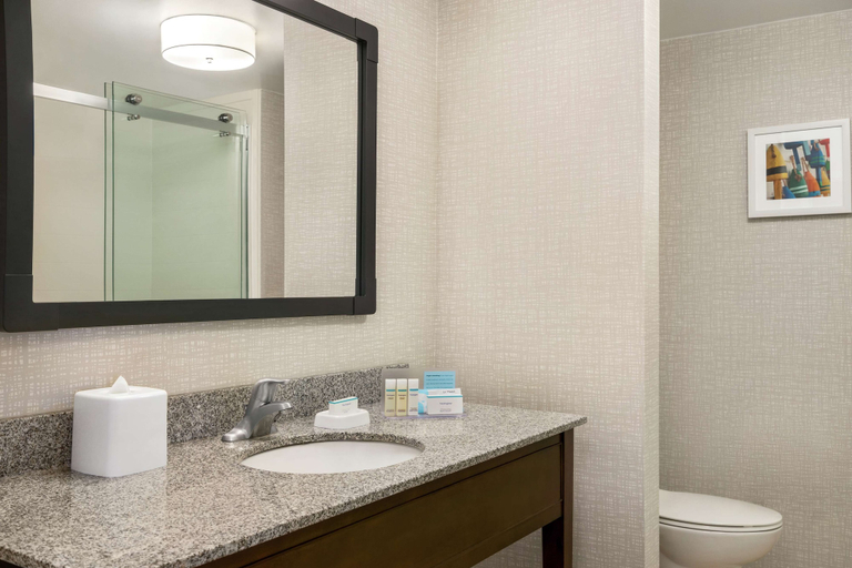 Bathroom 4, Hampton Inn & Suites Exeter, Rockingham