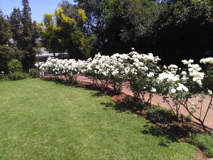 Others 5, BEDFORDVIEW B&B 1 BEDROOM CLUSTERs, Ekurhuleni
