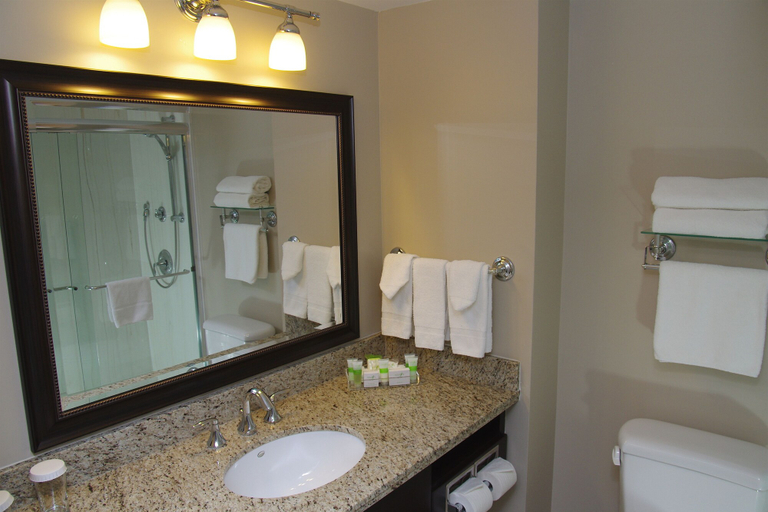 Bathroom 4, Visitors Inn, Hamilton