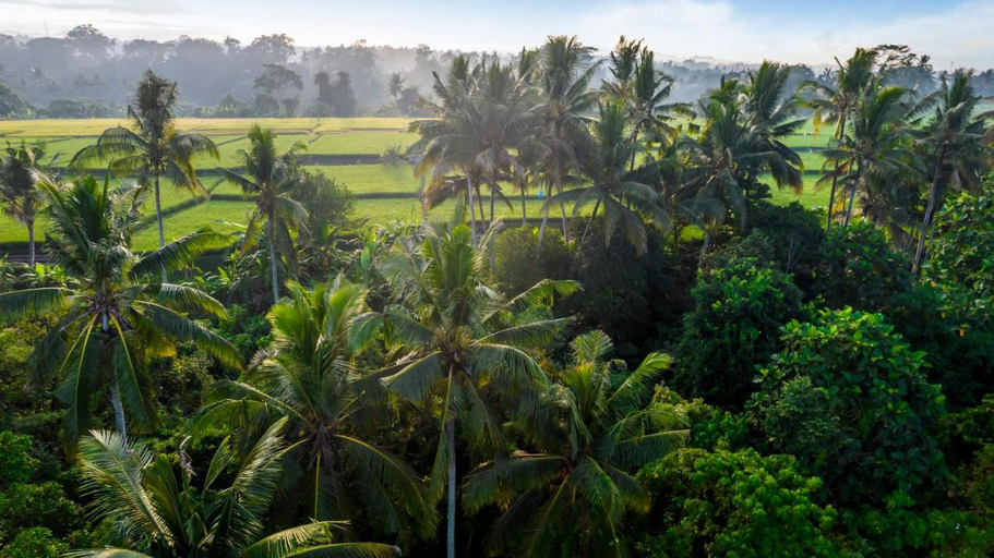Others 3, Villa Andrea by BaliSuperHost, Gianyar