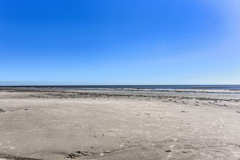 Others 5, Pet-friendly Galveston Home - Walk to Beach!, Galveston