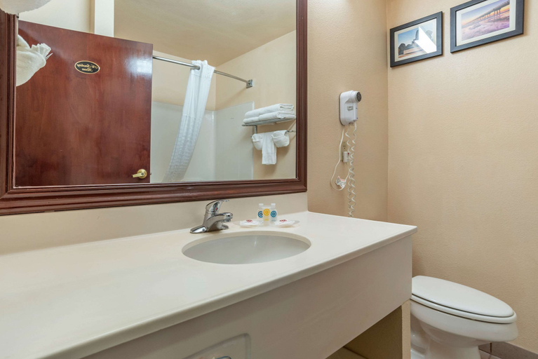 Bathroom 4, Comfort Suites Jacksonville Airport, Duval