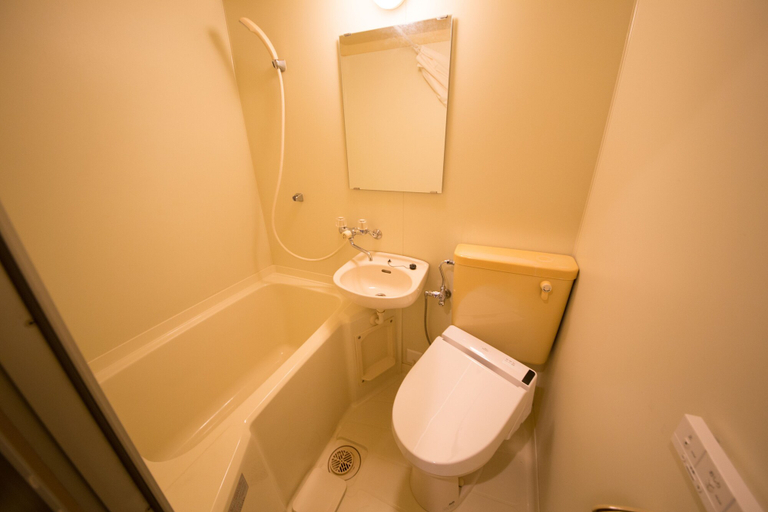 Bathroom 3, City Kaigetsu, Sumoto