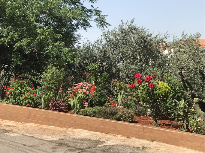 Others 5, Nahla apartments, Koura