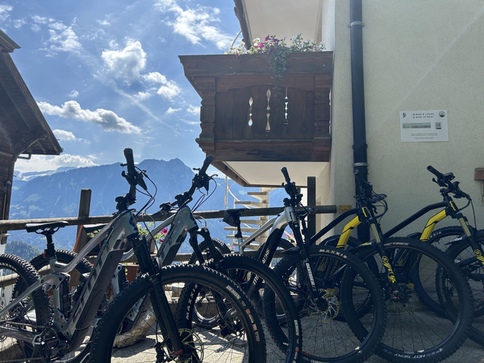 Exterior & Views 2, Hotel le Grand Chalet, Aigle