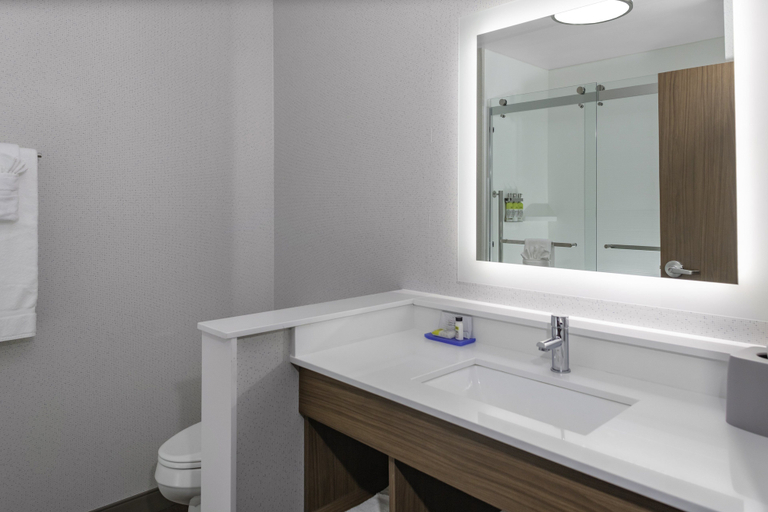 Bathroom 4, Holiday Inn Express & Suites THE DALLES by IHG, Wasco