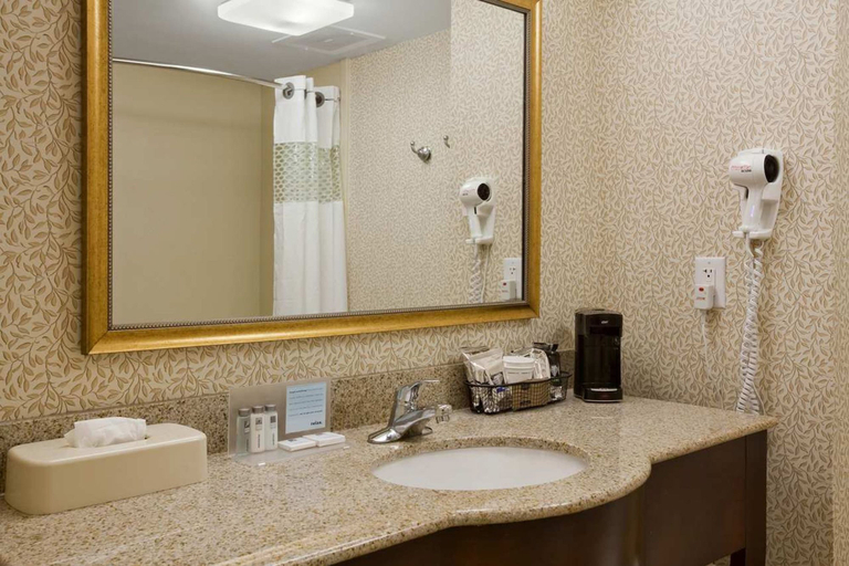 Bathroom 4, Hampton Inn by Hilton Dunn, Harnett
