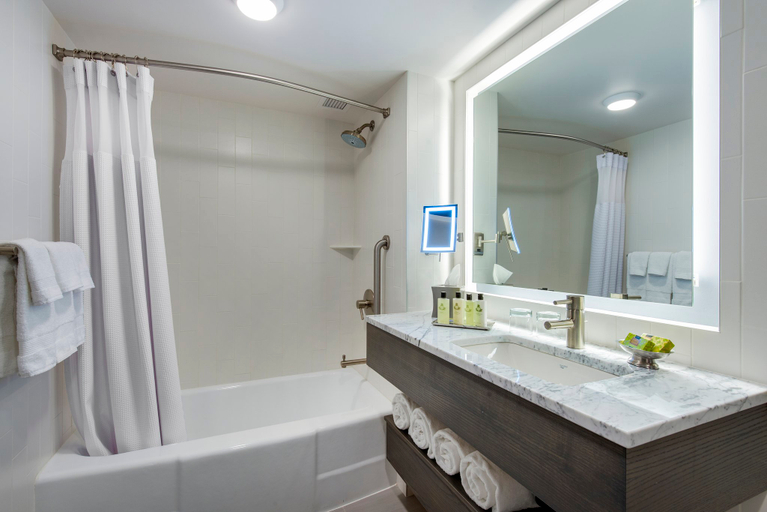 Bathroom 5, InterContinental Hotels SAINT PAUL RIVERFRONT by IHG, Ramsey