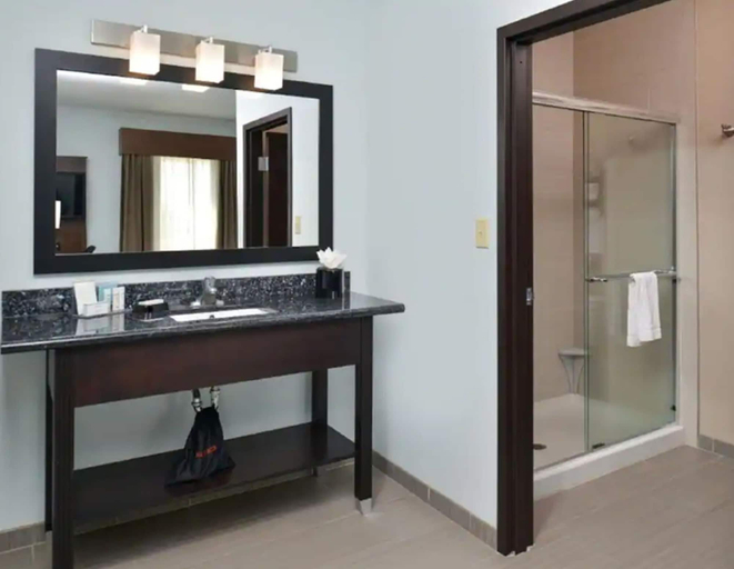 Bathroom 4, Hampton Inn & Suites Port Aransas, Nueces
