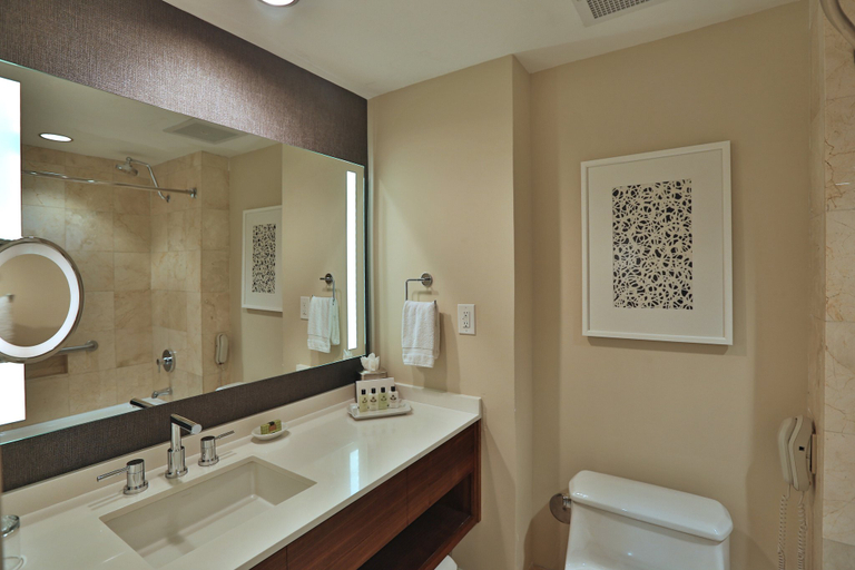 Bathroom 5, InterContinental Hotels AT DORAL MIAMI by IHG, Miami-Dade