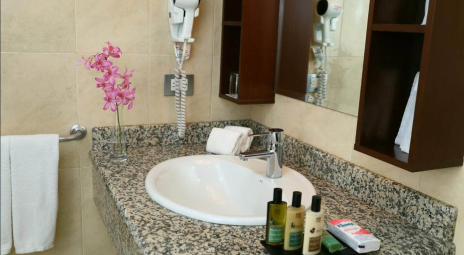 Bathroom 5, Hotel Ciudad De David, David