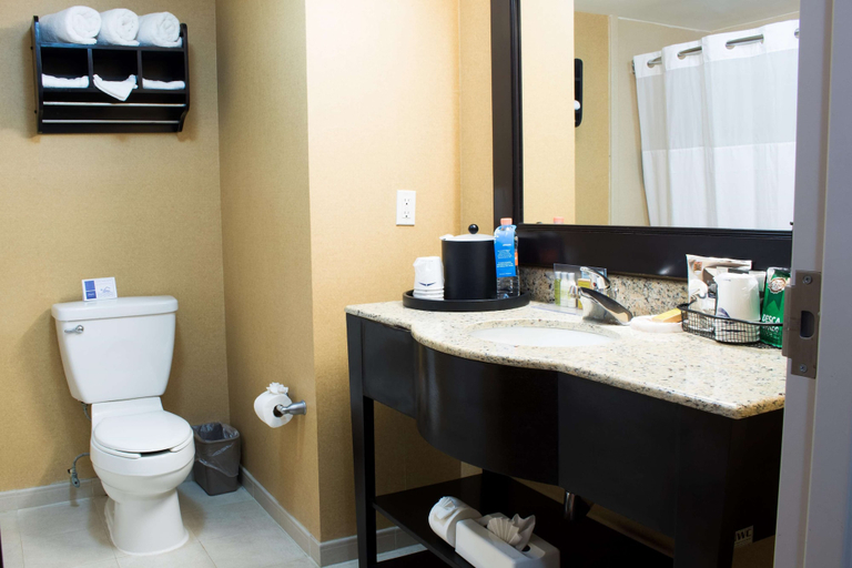 Bathroom 5, Hampton Inn by Hilton Ciudad Victoria, Victoria